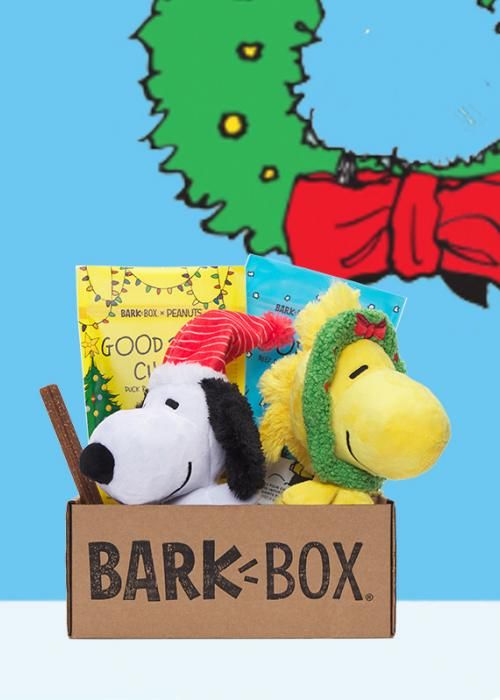 Promotion photo for Barbox company
