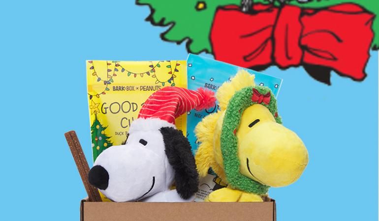 Promotion photo for Barbox company